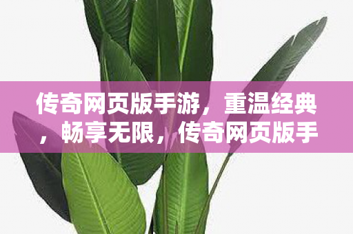 传奇网页版手游图片