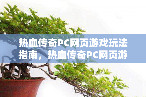 热血传奇PC网页游戏玩法指南图片