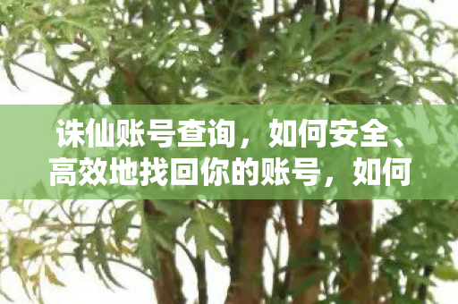 诛仙账号查询,如何安全、高效地找回你的账号,如何安全高效地找回诛仙账号? 诛仙账号查询,如何安全、高效地找回你的账号,如何安全高效地找回诛仙账号?