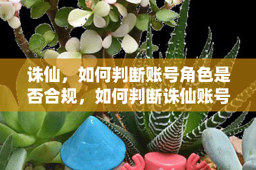 诛仙,如何判断账号角色是否合规,如何判断诛仙账号角色是否合规? 诛仙,如何判断账号角色是否合规,如何判断诛仙账号角色是否合规?