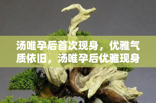 汤唯孕后首次现身，优雅气质依旧，汤唯孕后优雅现身，气质依旧