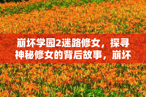 崩坏学园2迷路修女,探寻神秘修女的背后故事,崩坏学园2迷路修女,探寻神秘修女的背后故事 崩坏学园2迷路修女,探寻神秘修女的背后故事,崩坏学园2迷路修女,探寻神秘修女的背后故事