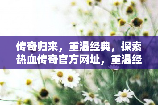 探索热血传奇官方网址图片