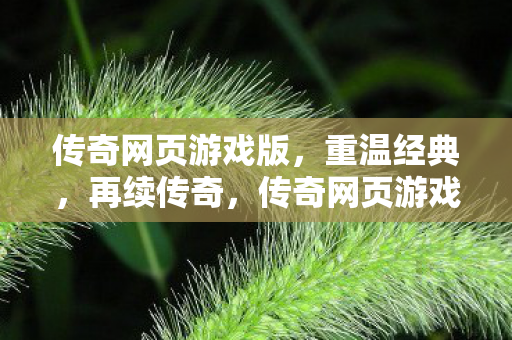 传奇网页游戏版图片
