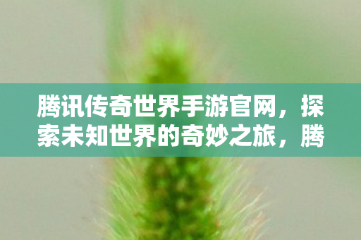 探索未知世界的奇妙之旅图片