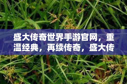 盛大传奇世界手游官网,重温经典,再续传奇,盛大传奇世界手游重温经典,再续传奇 盛大传奇世界手游官网,重温经典,再续传奇,盛大传奇世界手游重温经典,再续传奇
