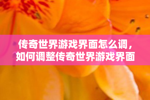 传奇世界游戏界面怎么调,如何调整传奇世界游戏界面设置 传奇世界游戏界面怎么调,如何调整传奇世界游戏界面设置