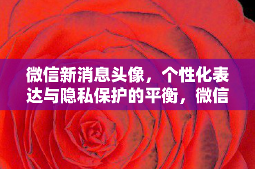 微信新消息头像,个性化表达与隐私保护的平衡,微信新消息头像,个性化与隐私保护的平衡之道 微信新消息头像,个性化表达与隐私保护的平衡,微信新消息头像,个性化与隐私保护的平衡之道