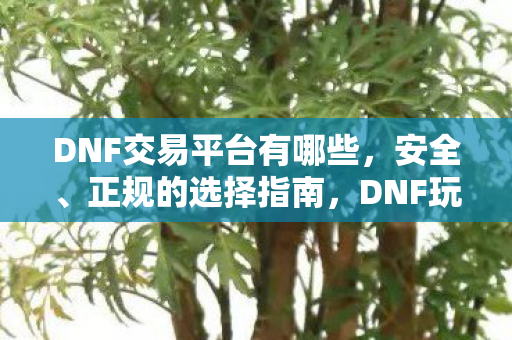 DNF交易平台有哪些,安全、正规的选择指南,DNF玩家必看,安全正规交易平台选择指南 DNF交易平台有哪些,安全、正规的选择指南,DNF玩家必看,安全正规交易平台选择指南