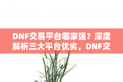 DNF交易平台哪家强?深度解析三大平台优劣,DNF交易平台哪家强?深度对比三大平台优劣 DNF交易平台哪家强?深度解析三大平台优劣,DNF交易平台哪家强?深度对比三大平台优劣