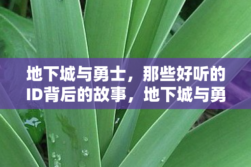 地下城与勇士,那些好听的ID背后的故事,地下城与勇士好听ID背后的故事揭秘 地下城与勇士,那些好听的ID背后的故事,地下城与勇士好听ID背后的故事揭秘