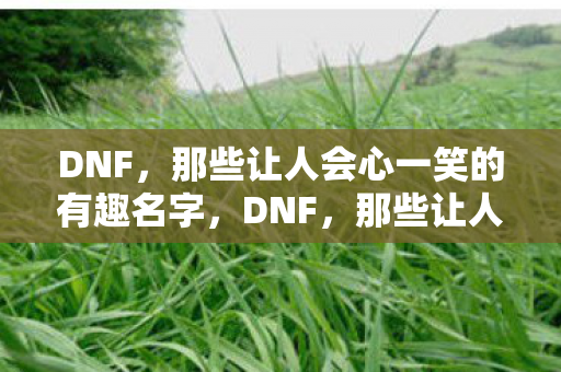 DNF,那些让人会心一笑的有趣名字,DNF,那些让人忍俊不禁的有趣角色名字 DNF,那些让人会心一笑的有趣名字,DNF,那些让人忍俊不禁的有趣角色名字