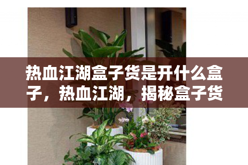 热血江湖盒子货是开什么盒子,热血江湖,揭秘盒子货的神秘面纱 热血江湖盒子货是开什么盒子,热血江湖,揭秘盒子货的神秘面纱