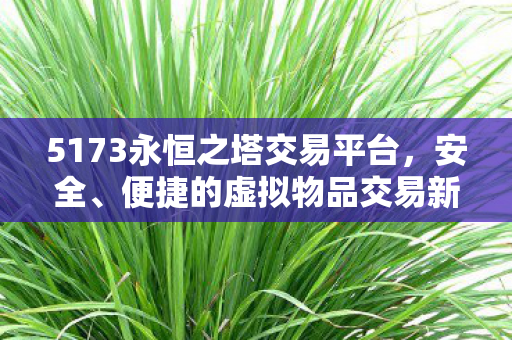 5173永恒之塔交易平台,安全、便捷的虚拟物品交易新选择,5173永恒之塔交易平台,安全、便捷,虚拟物品交易新选择 5173永恒之塔交易平台,安全、便捷的虚拟物品交易新选择,5173永恒之塔交易平台,安全、便捷,虚拟物品交易新选择