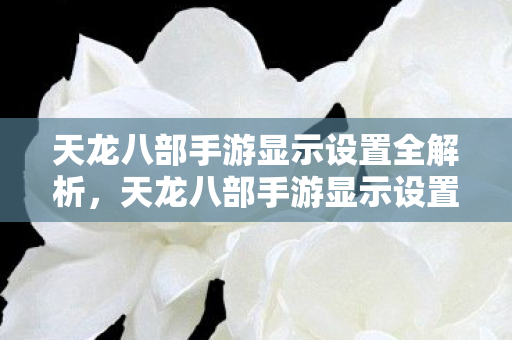 天龙八部手游显示设置全解析,天龙八部手游显示设置全解析 天龙八部手游显示设置全解析,天龙八部手游显示设置全解析