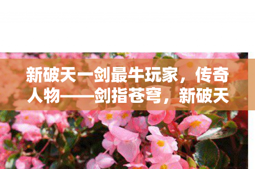 新破天一剑最牛玩家图片