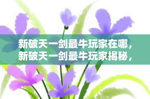 新破天一剑最牛玩家在哪图片