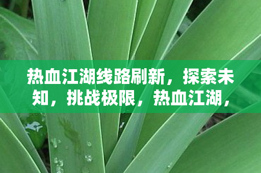 热血江湖线路刷新，探索未知，挑战极限，热血江湖，刷新线路，探索未知，挑战极限