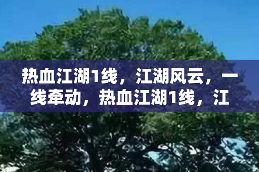 热血江湖1线,江湖风云,一线牵动,热血江湖1线,江湖风云,一线牵动 热血江湖1线,江湖风云,一线牵动,热血江湖1线,江湖风云,一线牵动