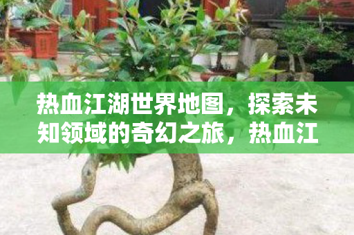 热血江湖世界地图，探索未知领域的奇幻之旅，热血江湖世界地图，探索未知领域的奇幻之旅