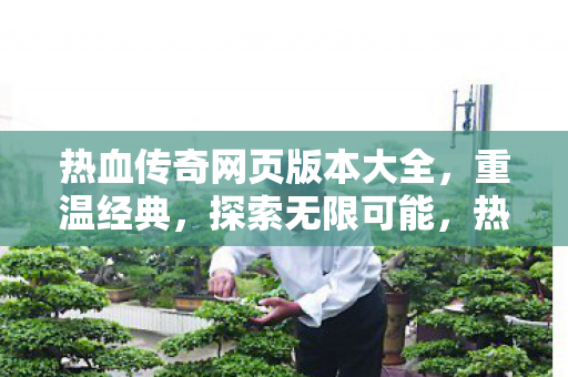 热血传奇网页版本大全图片