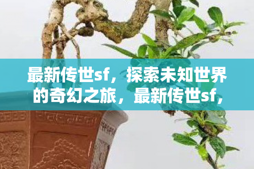 最新传世sf，探索未知世界的奇幻之旅，最新传世sf，探索未知世界的奇幻之旅
