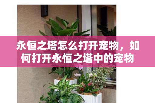 永恒之塔怎么打开宠物,如何打开永恒之塔中的宠物 永恒之塔怎么打开宠物,如何打开永恒之塔中的宠物