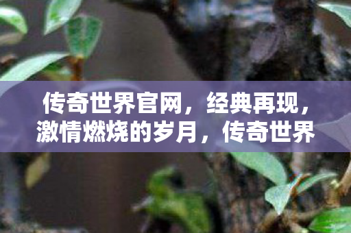 传奇世界官网,经典再现,激情燃烧的岁月,传奇世界官网,经典再现,重温激情燃烧的岁月 传奇世界官网,经典再现,激情燃烧的岁月,传奇世界官网,经典再现,重温激情燃烧的岁月