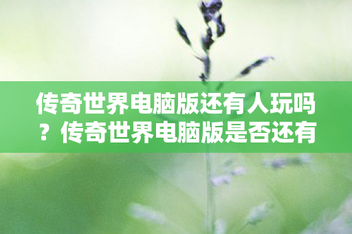 传奇世界电脑版还有人玩吗？传奇世界电脑版是否还有人玩？