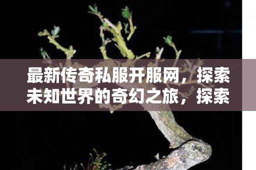 最新传奇私服开服网，探索未知世界的奇幻之旅，探索奇幻之旅，最新传奇私服开服网