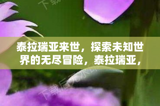 泰拉瑞亚来世,探索未知世界的无尽冒险,泰拉瑞亚,来世冒险,探索未知世界的无尽之旅 泰拉瑞亚来世,探索未知世界的无尽冒险,泰拉瑞亚,来世冒险,探索未知世界的无尽之旅