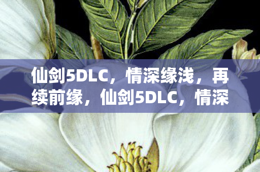 仙剑5DLC,情深缘浅,再续前缘,仙剑5DLC,情深缘浅 再续前缘 仙剑5DLC,情深缘浅,再续前缘,仙剑5DLC,情深缘浅 再续前缘