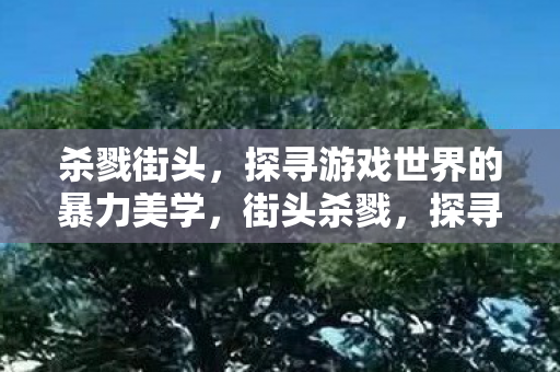 杀戮街头,探寻游戏世界的暴力美学,街头杀戮,探寻游戏世界的暴力美学 杀戮街头,探寻游戏世界的暴力美学,街头杀戮,探寻游戏世界的暴力美学