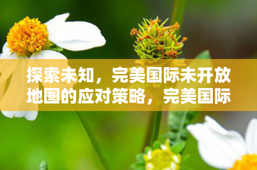 完美国际未开放地图探索与应对策略图片