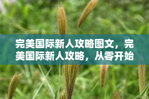 完美国际新人攻略图文,完美国际新人攻略,从零开始,打造你的游戏王国 完美国际新人攻略图文,完美国际新人攻略,从零开始,打造你的游戏王国