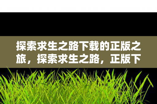 探索求生之路下载的正版之旅,探索求生之路,正版下载之旅 探索求生之路下载的正版之旅,探索求生之路,正版下载之旅