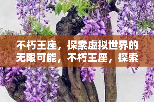 不朽王座，探索虚拟世界的无限可能，不朽王座，探索虚拟世界的无限可能