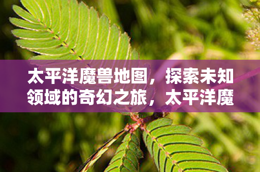 太平洋魔兽地图,探索未知领域的奇幻之旅,太平洋魔兽地图,奇幻之旅探索未知领域 太平洋魔兽地图,探索未知领域的奇幻之旅,太平洋魔兽地图,奇幻之旅探索未知领域