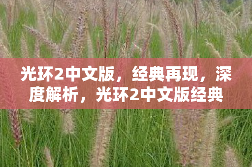 光环2中文版,经典再现,深度解析,光环2中文版经典再现,深度解析 光环2中文版,经典再现,深度解析,光环2中文版经典再现,深度解析