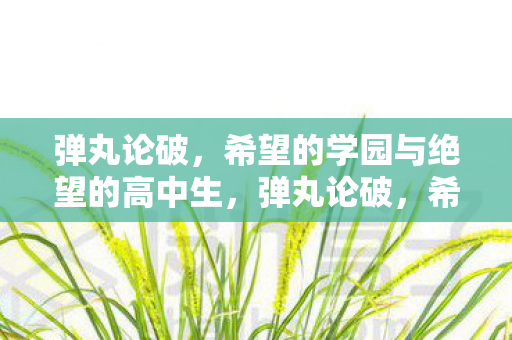 弹丸论破,希望的学园与绝望的高中生,弹丸论破,希望与绝望的学园 弹丸论破,希望的学园与绝望的高中生,弹丸论破,希望与绝望的学园