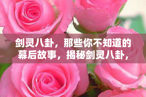 剑灵八卦,那些你不知道的幕后故事,揭秘剑灵八卦,你不知道的幕后故事 剑灵八卦,那些你不知道的幕后故事,揭秘剑灵八卦,你不知道的幕后故事