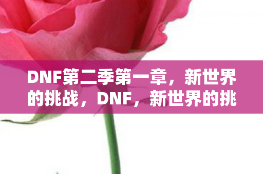 DNF第二季第一章,新世界的挑战,DNF,新世界的挑战,第二季第一章震撼开启 DNF第二季第一章,新世界的挑战,DNF,新世界的挑战,第二季第一章震撼开启
