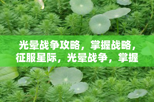 光晕战争攻略，掌握战略，征服星际，光晕战争，掌握战略，征服星际