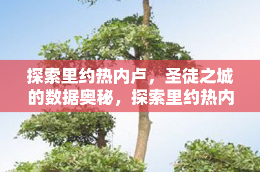 探索里约热内卢,圣徒之城的数据奥秘,探索里约热内卢,圣徒之城的数据奥秘 探索里约热内卢,圣徒之城的数据奥秘,探索里约热内卢,圣徒之城的数据奥秘