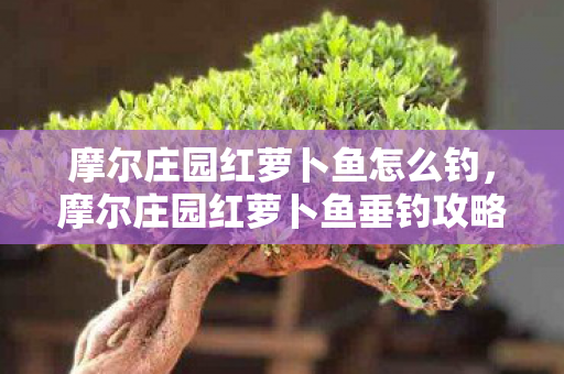 摩尔庄园红萝卜鱼怎么钓,摩尔庄园红萝卜鱼垂钓攻略 摩尔庄园红萝卜鱼怎么钓,摩尔庄园红萝卜鱼垂钓攻略