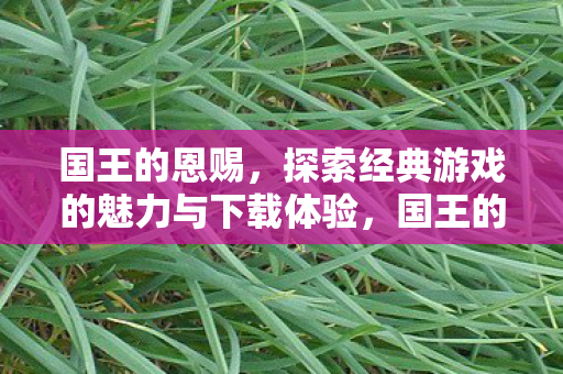 国王的恩赐,探索经典游戏的魅力与下载体验,国王的恩赐经典游戏魅力探索及下载体验 国王的恩赐,探索经典游戏的魅力与下载体验,国王的恩赐经典游戏魅力探索及下载体验