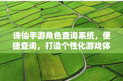 诛仙手游角色查询系统,便捷查询,打造个性化游戏体验,诛仙手游角色查询系统,打造个性化游戏体验 诛仙手游角色查询系统,便捷查询,打造个性化游戏体验,诛仙手游角色查询系统,打造个性化游戏体验