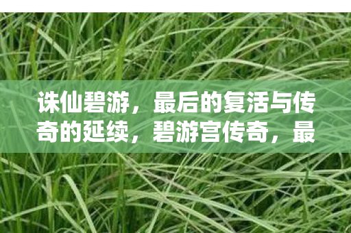 诛仙碧游,最后的复活与传奇的延续,碧游宫传奇,最后的复活与传奇的延续 诛仙碧游,最后的复活与传奇的延续,碧游宫传奇,最后的复活与传奇的延续