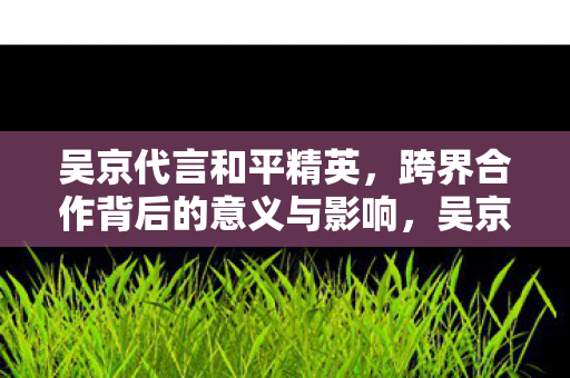 吴京代言和平精英，跨界合作背后的意义与影响，吴京代言和平精英，跨界合作背后的意义与影响