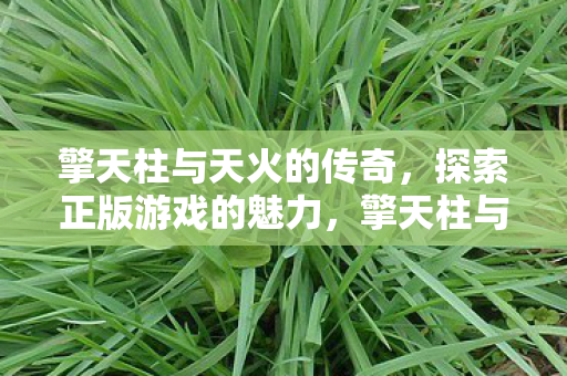 擎天柱与天火的传奇，探索正版游戏的魅力，擎天柱与天火的传奇，探索正版游戏的魅力
